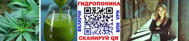 Cannafood конопля  Курчалой 