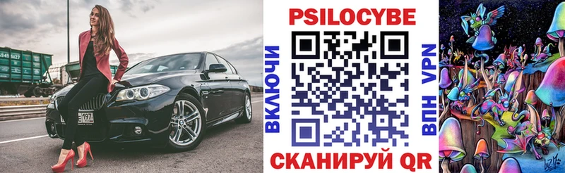 купить наркотики сайты  Курчалой  Галлюциногенные грибы мухоморы 