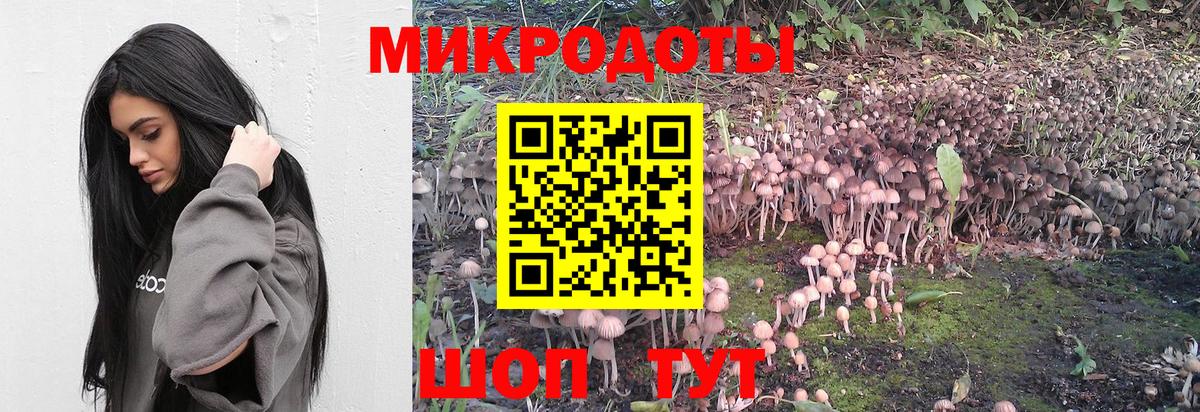 Курчалой  Галлюциногенные грибы MAGIC MUSHROOMS  Псилоцибиновые грибы Psilocybine cubensis  Вход с VPN 