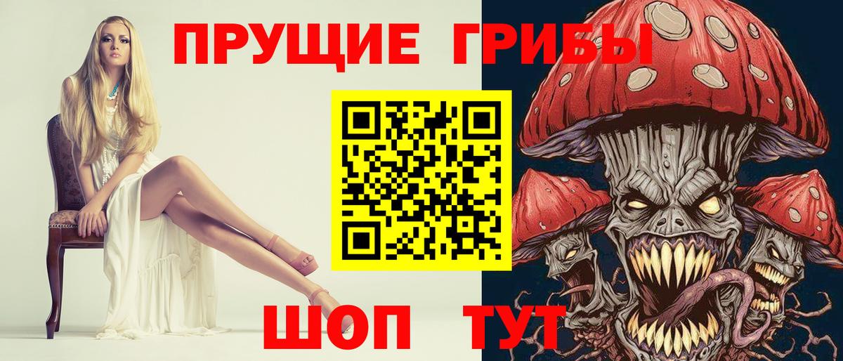 Псилоцибиновые грибы GOLDEN TEACHER Курчалой
