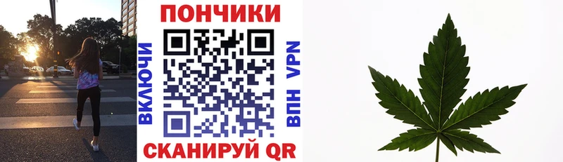 Канабис OG Kush Курчалой